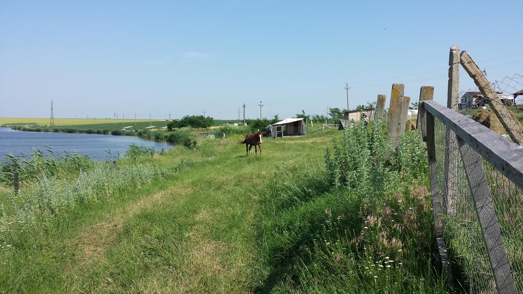 Pescuit 2014 - 20140609100924.jpg